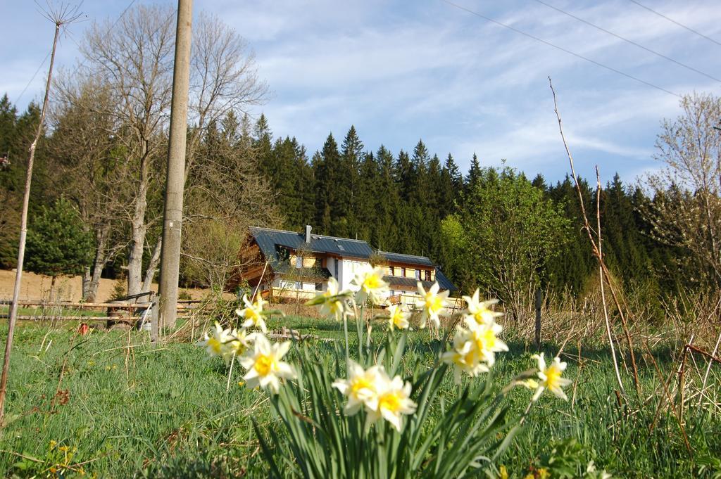 Pension Pamferka Железна-Руда Экстерьер фото